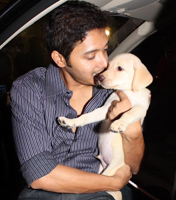 Bollywood Stars Pet Wallpaper