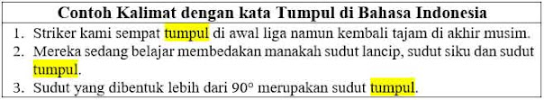 20 Contoh Kalimat Tumpul di Bahasa Indonesia dan Pengertiannya