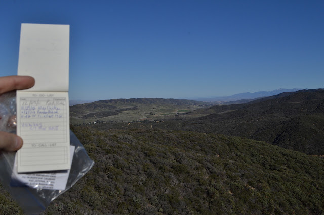 signed log and the view