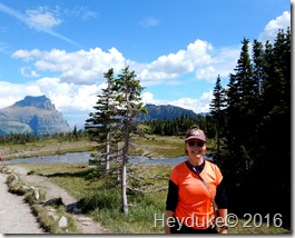 Hidden Lake Trail Glacier NP MT 088