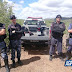 GCM DE SANTA CRUZ DEBELA MAIS UM DESMANCHE DE MOTOCICLETAS ROUBADAS E APREENDE MACONHA