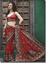 indian sari 4