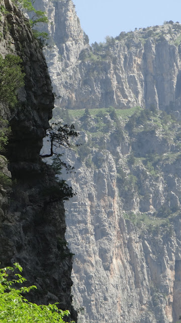 Vikos kloof