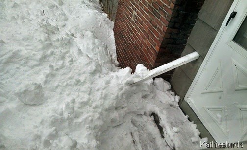 10. front door crater 2-14-15