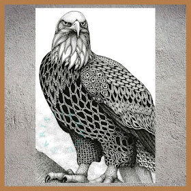 07-Bald-eagle-Kristin-Moger-www-designstack-co