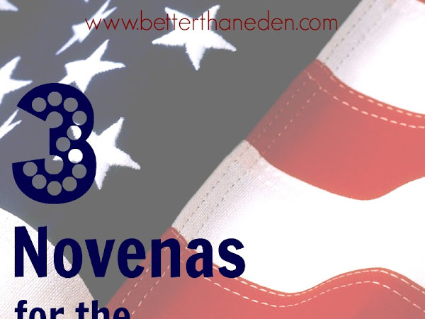 Three Novenas for the Election (and all are invited)