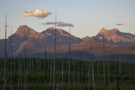 Sunset in Glacier National Park near Howe Lake