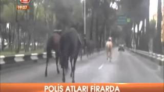 meksika'nın başkenti meksiko city burası atlı polisler 