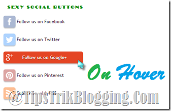Widget follow us Social Media