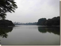 IMG_7010