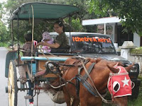 Naik Andong Keliling Desa wisata Candi Rejo