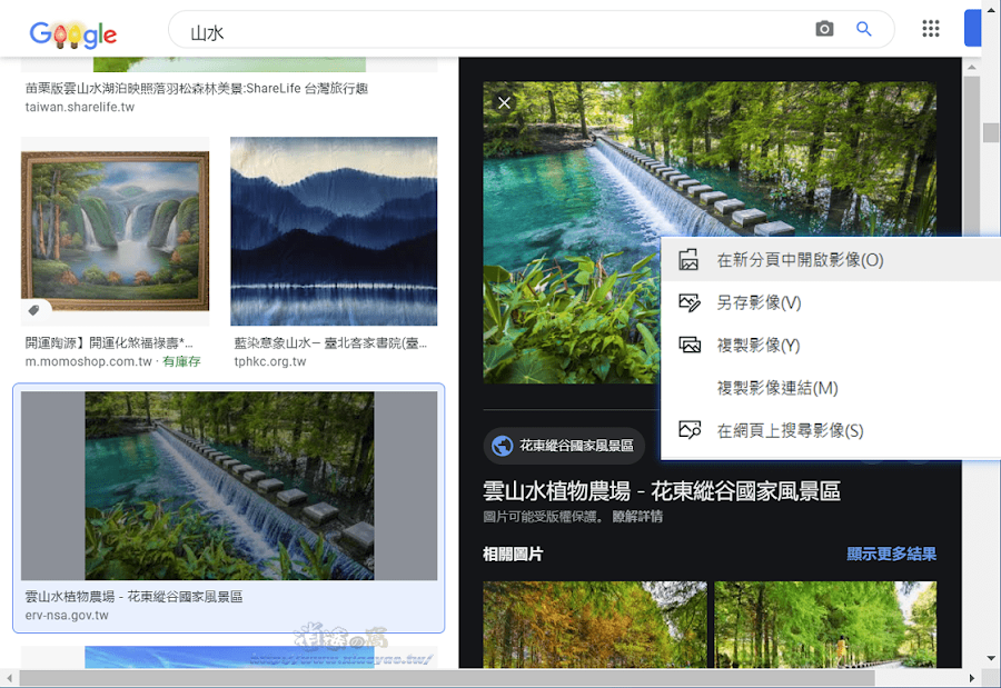 GooglePanicImages 擴充功能