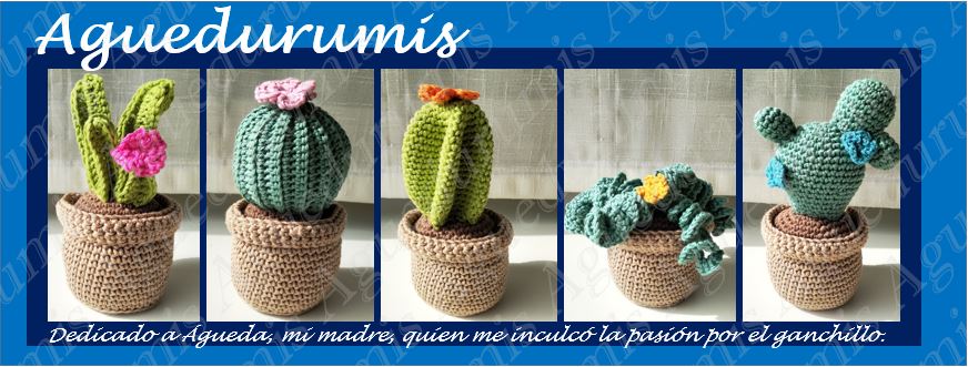 Aguedurumis