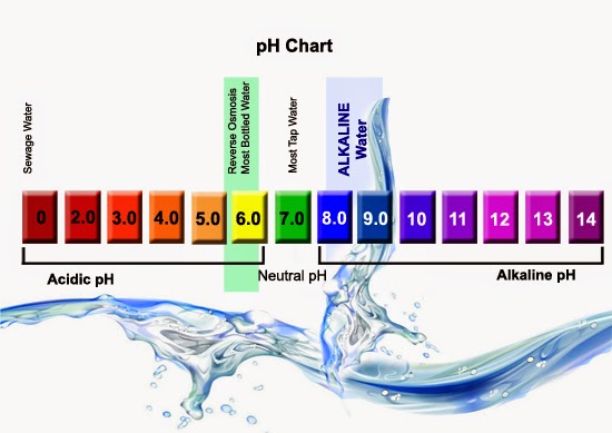  Kangen Alkaline Water