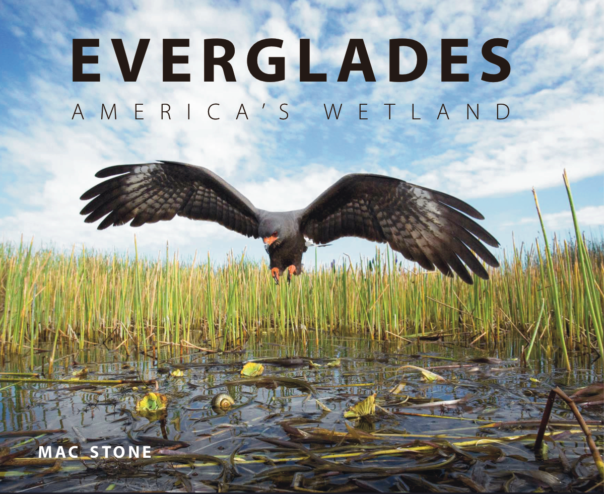 Everglades America's Wetland photography book by Mac Stone