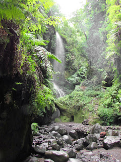 Los Tilos; Cascada; Waterfall; Cascade; Parque natural de las Nieves; Parque natural; Nature park; Parc naturel; La Palma; Isla Bonita; Islas Canarias; Canarias; Canary Islands; Îles Canaries