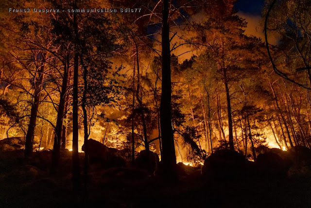 Impressionnant incendie  nocturne dans les Trois Pignons  le 4 août 2020 SDIS77