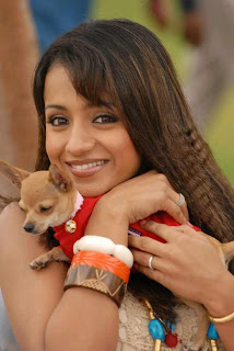 trisha wallpaper