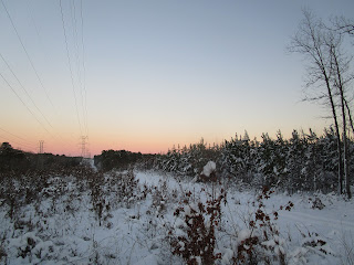 Looking east from the northwest corner in 2018; most of the land on the left is owned by the US government and Durham County; NC 55 is out of sight behind a ridge far down the powerline and the old claypit is behind the forest in the center. ©