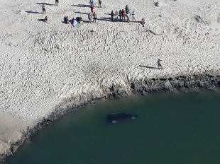 CASCAVEL-CE:  Mulher morre afogada, após veiculo tombar na areia e cair em rio