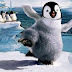 HAPPY FEET 2