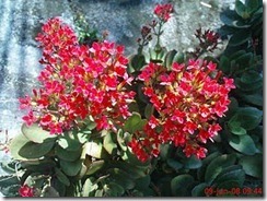 clip_image010