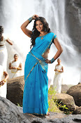 Anjali latest Glamorous photos in saree from svsc-thumbnail-5