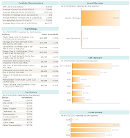 Invesco Van Kampen Advantage Municipal Income II (VKI)