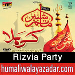 http://www.humaliwalayazadar.com/2014/10/rizvia-party-nohay-1993-to-2015.html