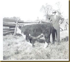 DadShanksAndHisCows