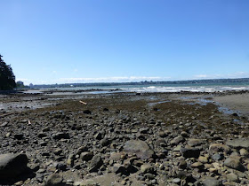 The Seawall Vancouver