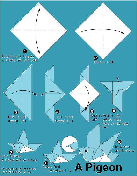 Berbagai Jenis Origami Binatang Kerajinan  Tangan  Lipat  