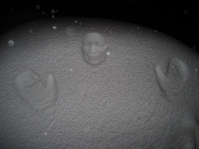 Amazing Snow Prints absolutely incredible