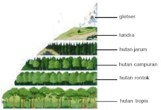 Faktor-Faktor Penyebab Terjadinya Keanekaragaman Flora Dan Fauna di Dunia