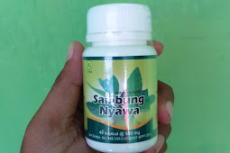 Jual Kapsul Daun Sambung Nyawa Di Lubuklinggau | 0812-1666-0102