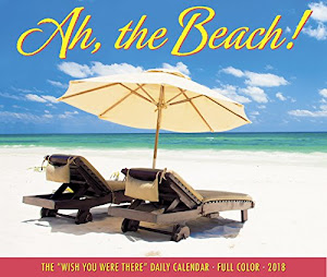 Ah, the Beach! 2018 Calendar (Wish You Were There Daily Calendar)