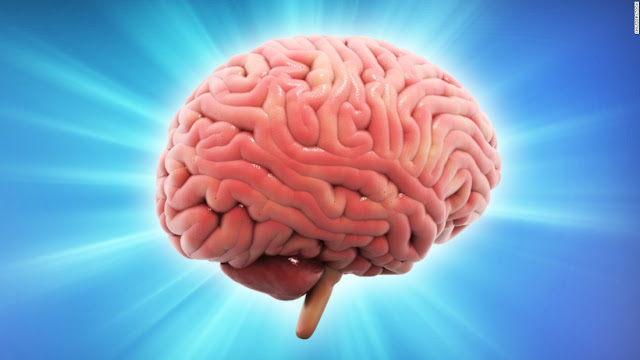 مع تطور الأبحاث العلمية عن الدماغ البشري وقدراته، يقترب العلماء من فهم العوامل التي تجعل الدماغ هادئاً وسعيداً. إعرف ما إذا كان دماغك مهيئاً للشعور بالسعادة أم إذا كنت بحاجة لتدريبه لذلك من خلال الإجابة على الأسئلة التالية.