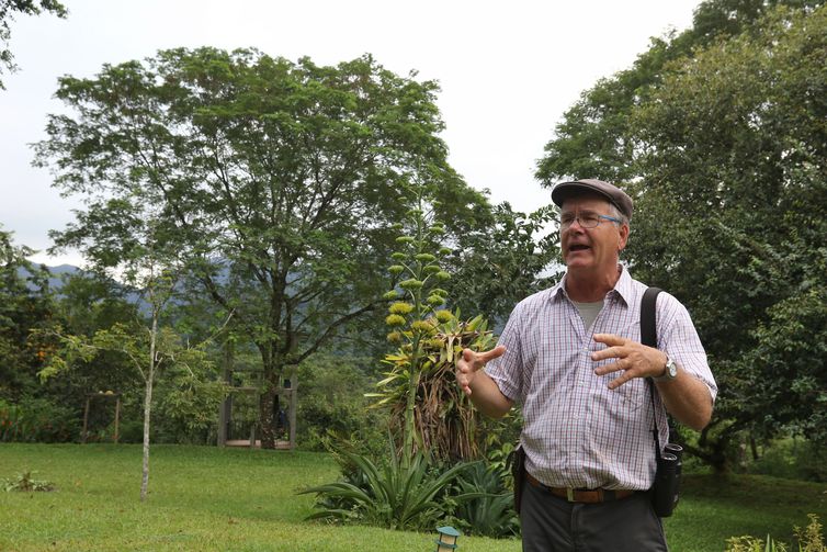 Ecoturismo - Projetos privados mantêm reservas ecológicas na Mata Atlântica