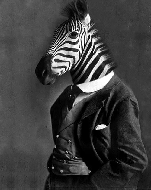 06-Alexander-Houlton-Animals-in-Clothes-in-a-Parallel-Universe-www-designstack-co