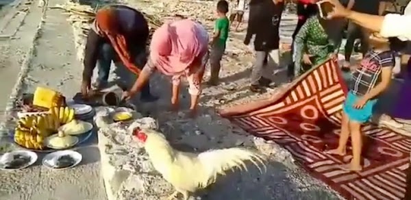 Hidangkan Sesajen untuk Penguasa Laut Palu, Ritual Pemuja Setan Dikecam