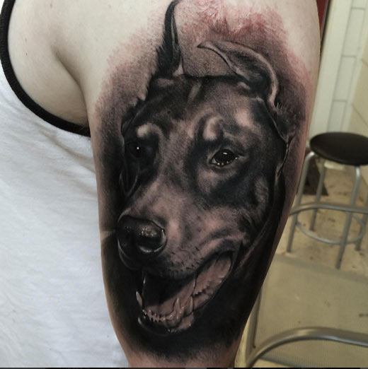 Este escuro doberman desenho de tatuagem