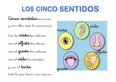 Resultado de imagen de LOS CINCO SENTIDOS INFANTIL