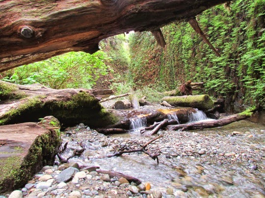 Wading%252526ScramblingThroughFernCanyon-14-2014-04-6-19-04.jpg