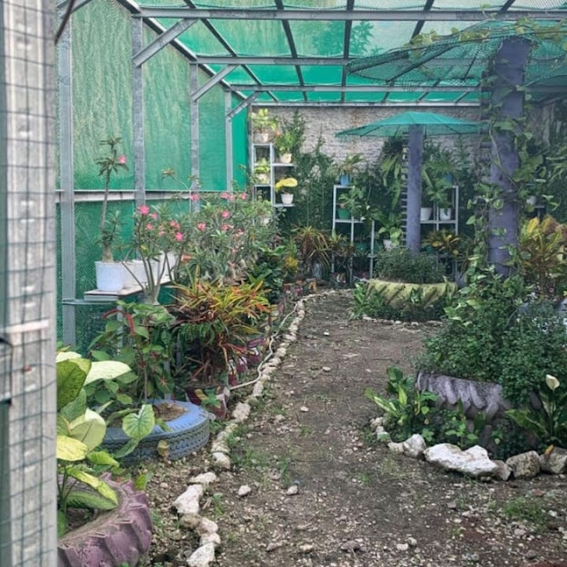 Istana Taman Cadas Banten Jam Buka