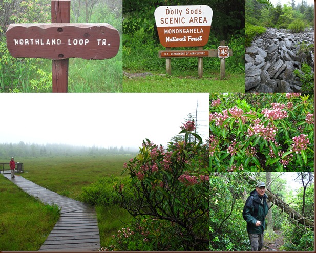 2012_0601DOLLY SODS