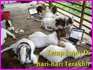 "Meme Kartu Ucapan Selamat Hari Raya Idul Adha"