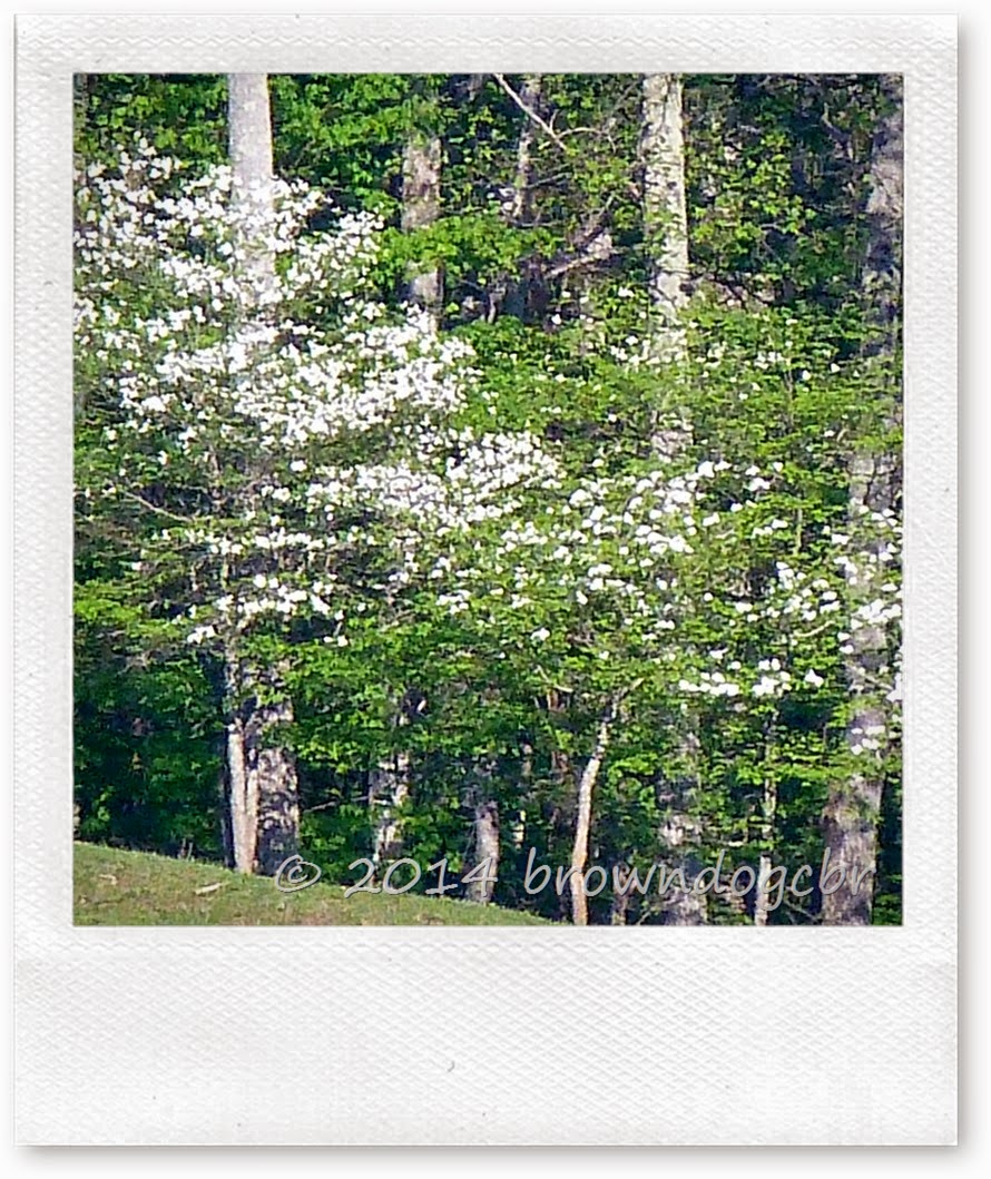 P1350674