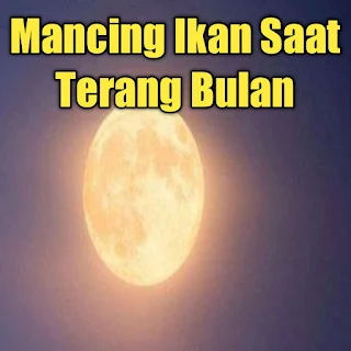 memancing ikan saat terang bulan ikan tidak mau makan umpan itu mitos atau fakta