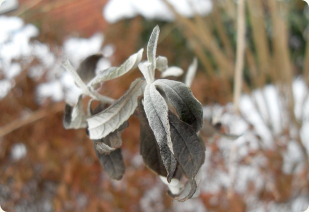 februar 2010