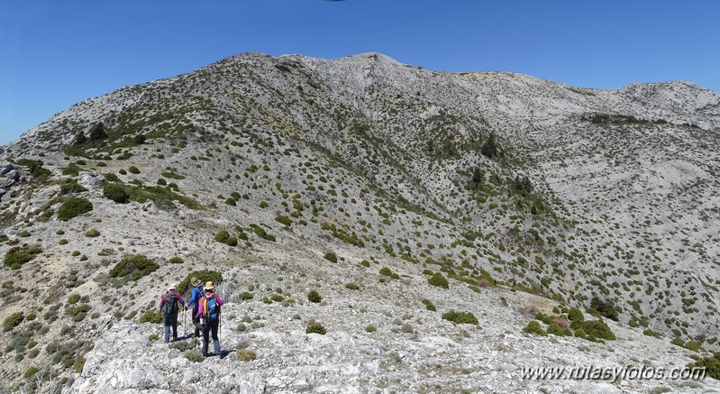 Subida al Torrecilla por la Loma Larga